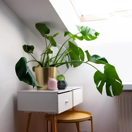 Pw Studio